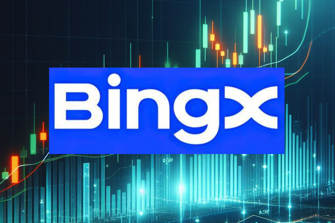Bingx Copy trader
