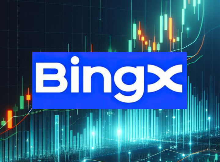 Bingx Copy trader